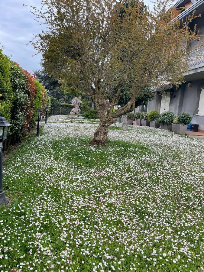 鲁比科内河畔萨维纳诺 Magnolia酒店 外观 照片